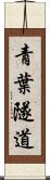 青葉隧道 Scroll