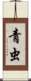青虫 Scroll