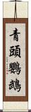 青頭鸚鵡 Scroll