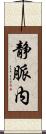 静脈内 Scroll