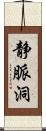 静脈洞 Scroll