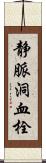 静脈洞血栓 Scroll