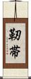 靭帯 Scroll