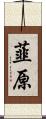 韮原 Scroll