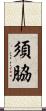 須脇 Scroll