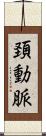 頚動脈 Scroll