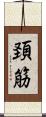 頚筋 Scroll