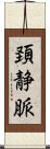 頚静脈 Scroll