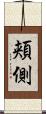 頬側 Scroll