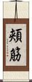 頬筋 Scroll