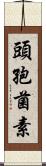 頭孢菌素 Scroll