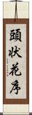 頭状花序 Scroll