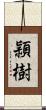 頴樹 Scroll