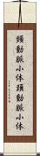 頸動脈小体 Scroll