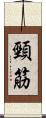 頸筋 Scroll