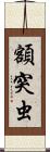 額突虫 Scroll