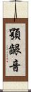 顎齦音 Scroll