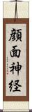 顔面神経 Scroll