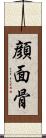 顔面骨 Scroll