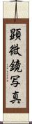 顕微鏡写真 Scroll