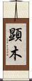 顕木 Scroll