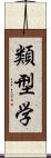 類型学 Scroll