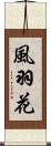風羽花 Scroll