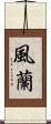 風蘭 Scroll