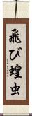 飛び蝗虫 Scroll