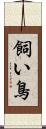 飼い鳥 Scroll