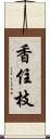 香住枝 Scroll
