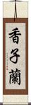 香子蘭 Scroll