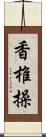 香椎操 Scroll