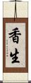 香生 Scroll