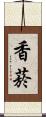 香菸 Scroll