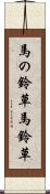 馬の鈴草 Scroll