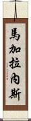 Magallanez Scroll