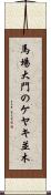 馬場大門のケヤキ並木 Scroll