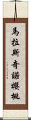 馬拉斯奇諾櫻桃 Scroll