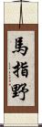 馬指野 Scroll