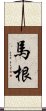 馬根 Scroll