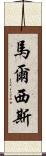 Marcisz Scroll