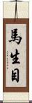 馬生目 Scroll
