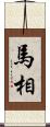 馬相 Scroll