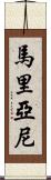 Mariani Scroll
