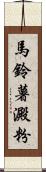 馬鈴薯澱粉 Scroll