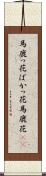馬鹿っ花 Scroll