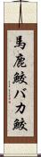 馬鹿鮫 Scroll