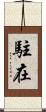 駐在 Scroll