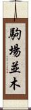 駒場並木 Scroll
